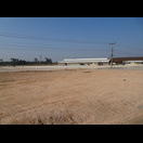 Trocknung von Maniok im großen Stil